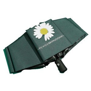 Auto Open Close Umbrella With Sun And Rain Protection 3