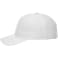 Unisex DOMINATE Ballcap 201