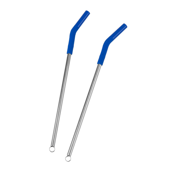 Reusable Stainless Steel Two Straw Set 31