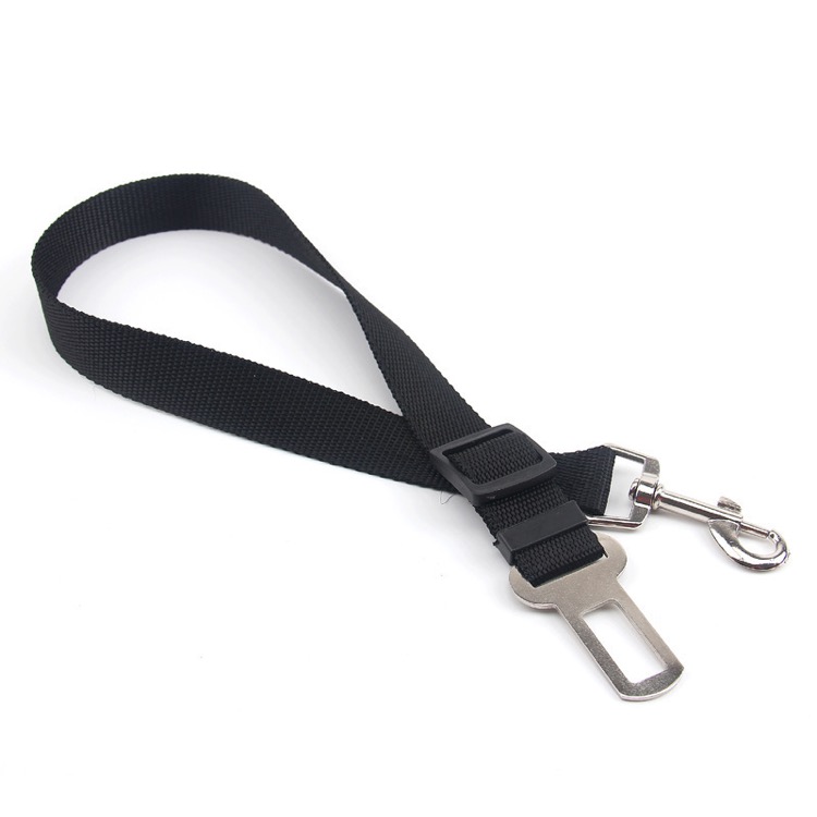 Medium and Large Dog Traction Rope 3