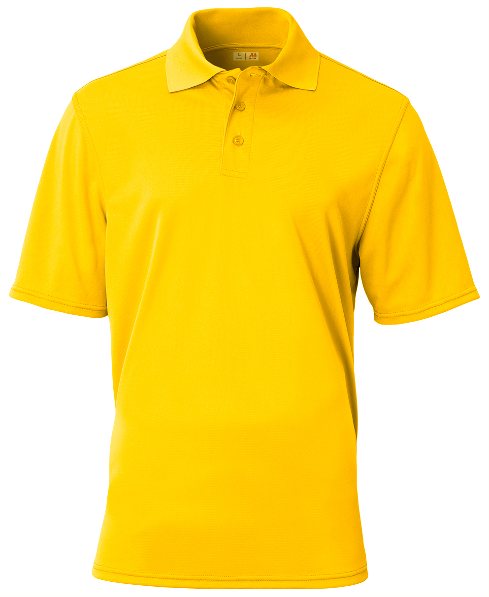 A4 Essential Polo 5