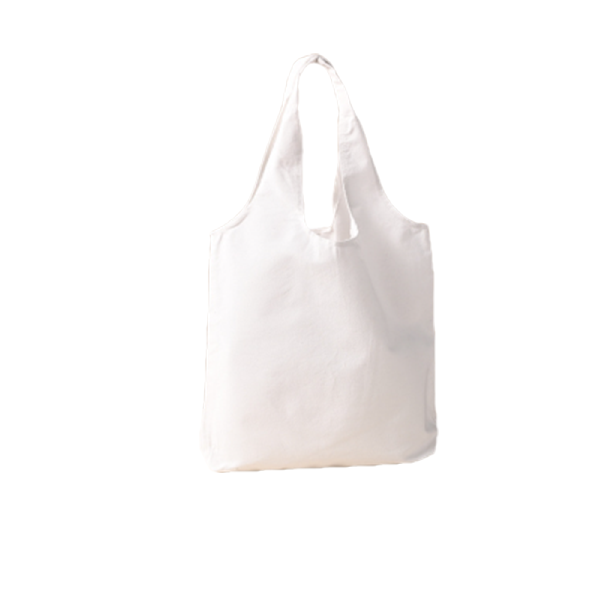 Reusable Canvas Shopping Bags MOQ50 2