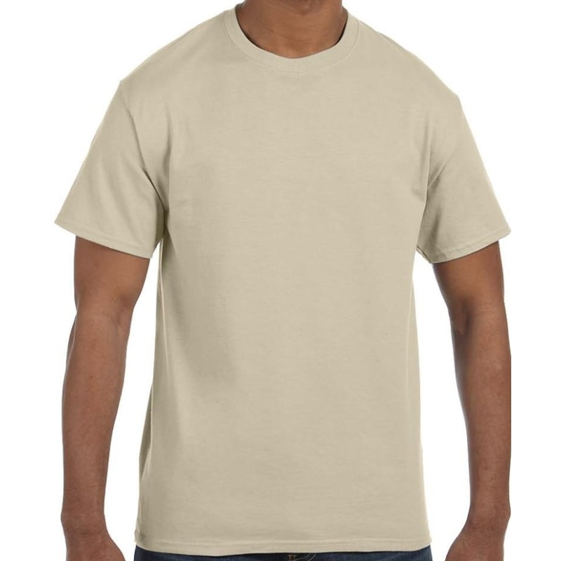 Hanes Men's Authentic-T T-Shirt 81