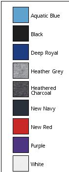 Women's The Concert Tee V-Neck