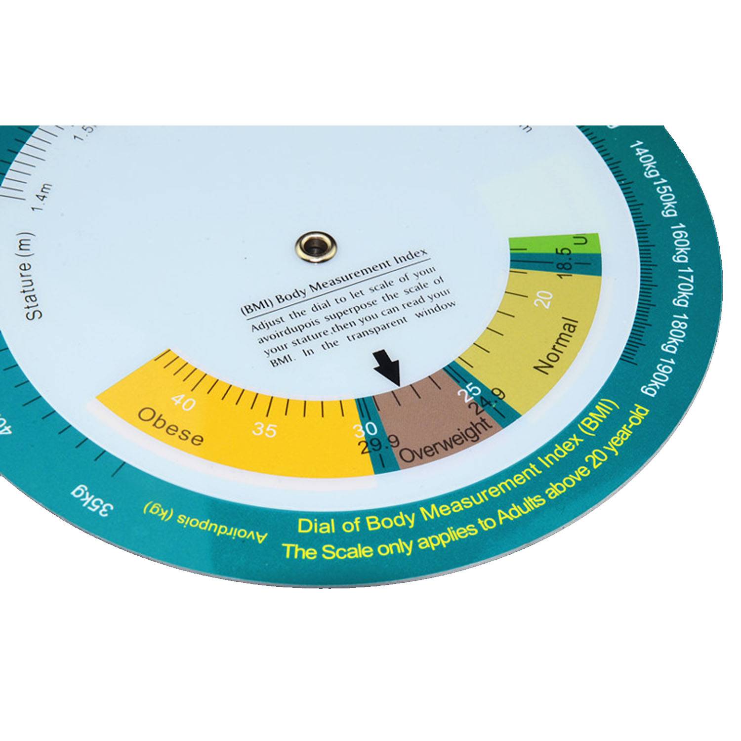 BMI healthy wheel 6