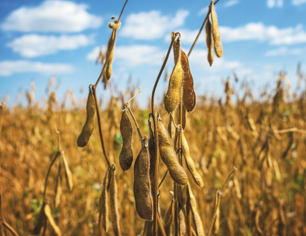 Good Value™ Agriculture - Spiral Calendar 57