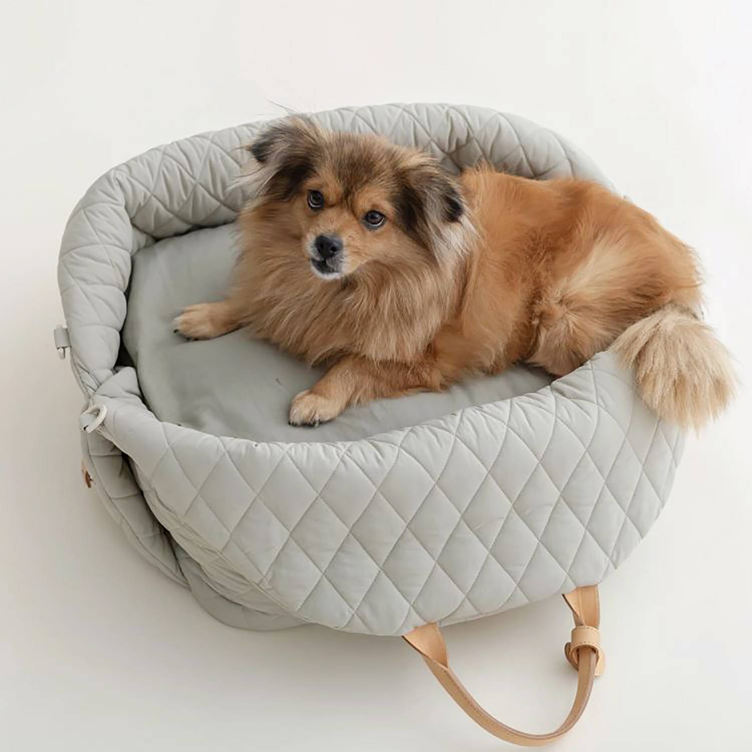 Nylon Waterproof Pet bag 5
