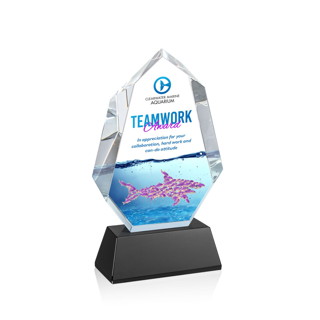 Norwood VividPrint™ Award on Newhaven Base - Black 4