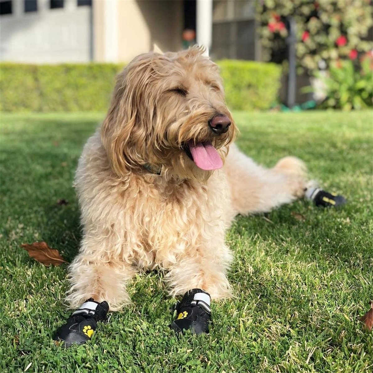 Dog Boots Waterproof Shoes 4Pcs/Set 5