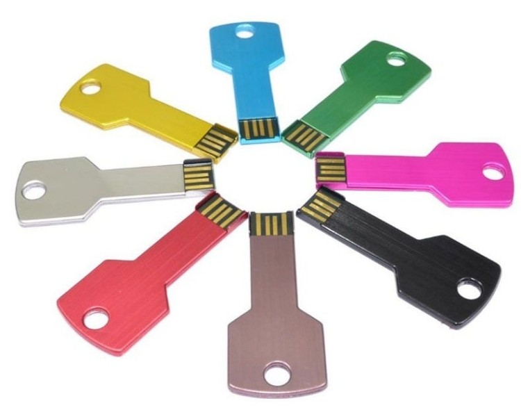USB Key Flash Drive (1GB) 2