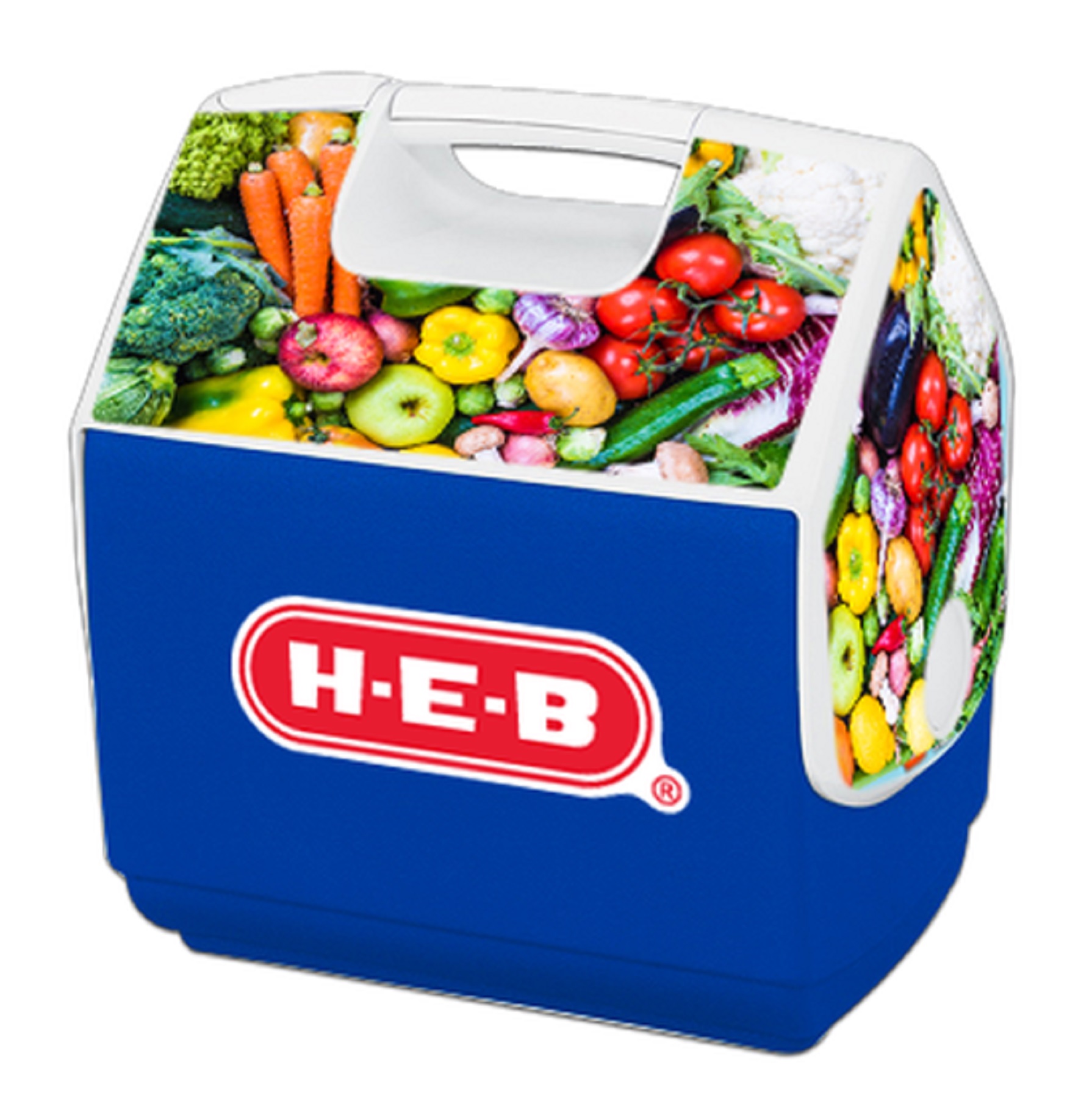 IGLOO Playmate Pal 7 Qt. Cooler 5