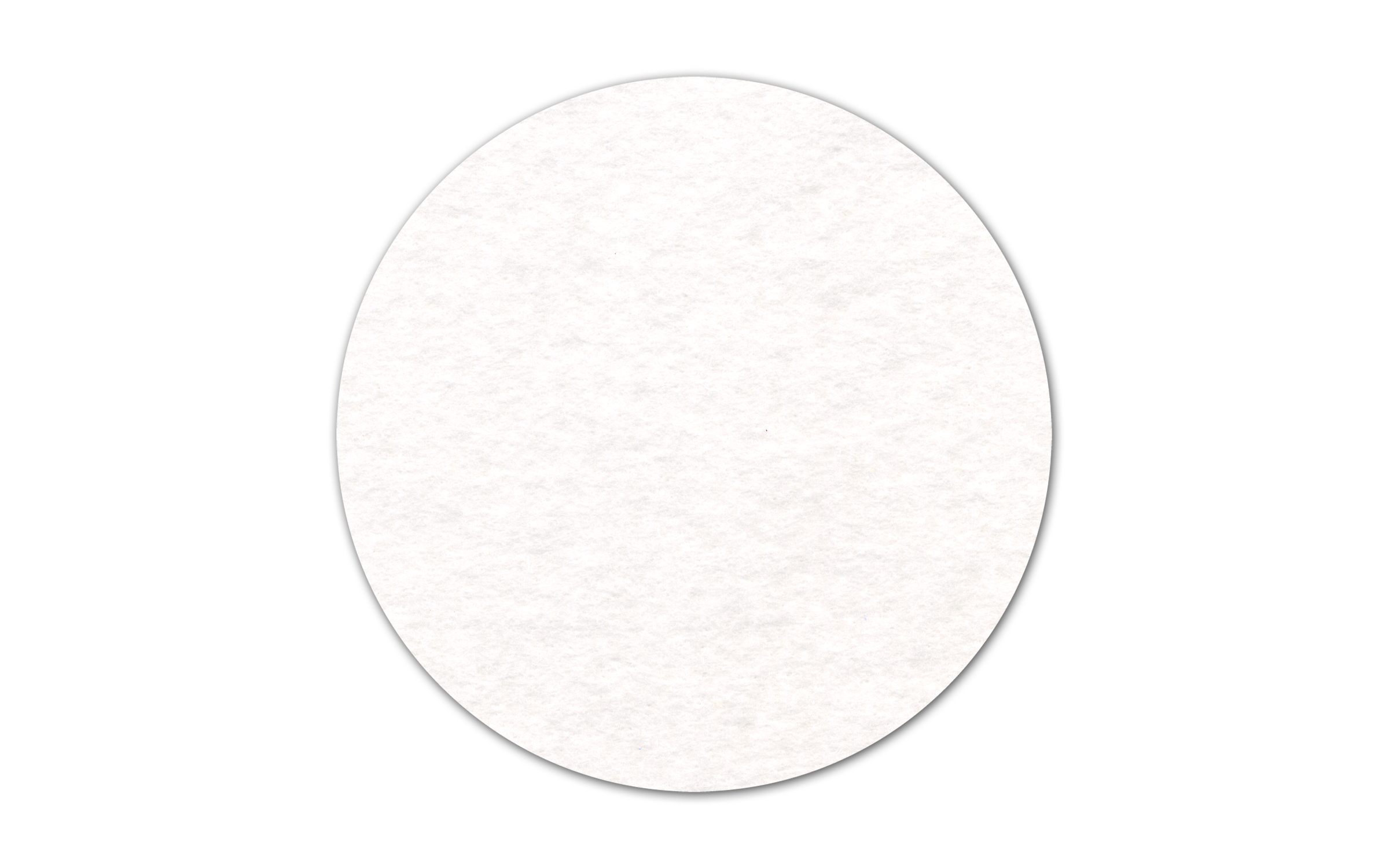 Circle Shammy Coaster 4