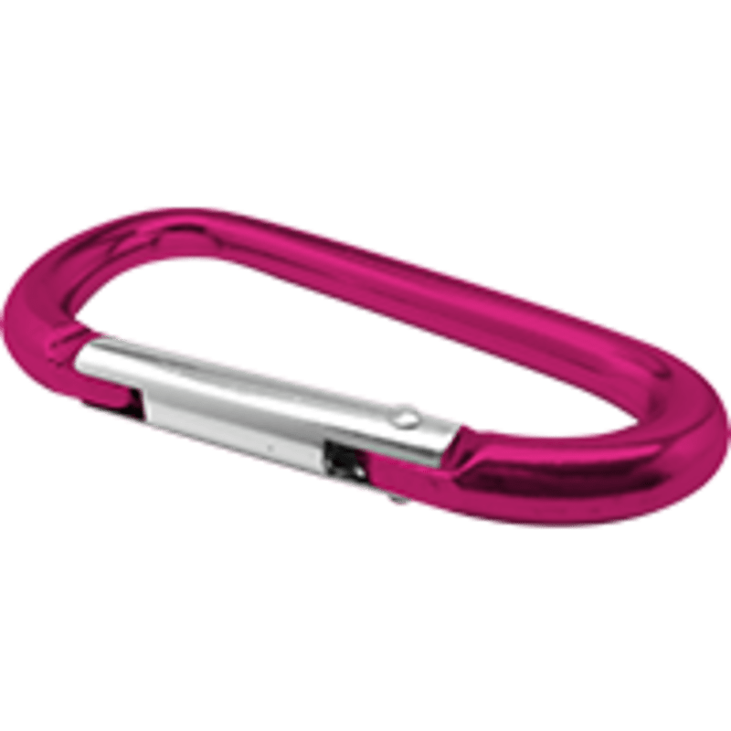 Carabiners 3