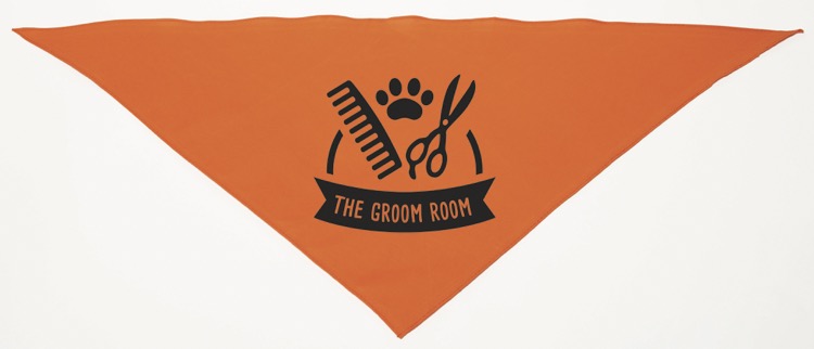 Personalized Large Orange Triangle Pet Bandana