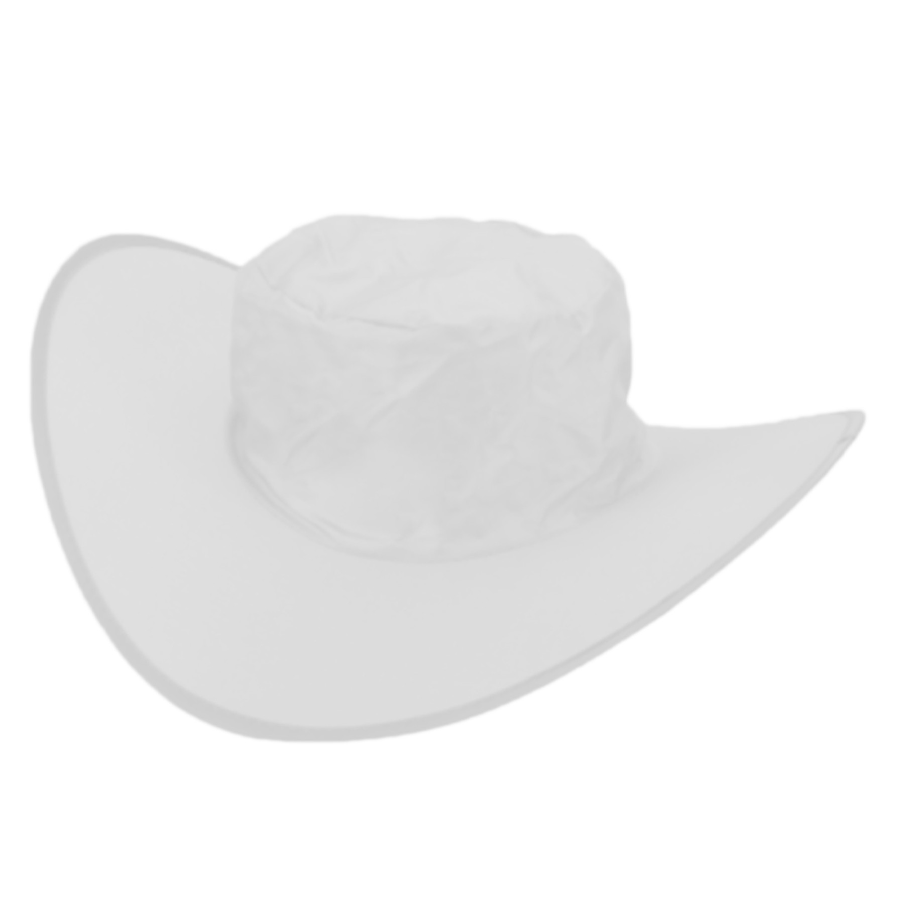 Foldable Cowboy Hat 1