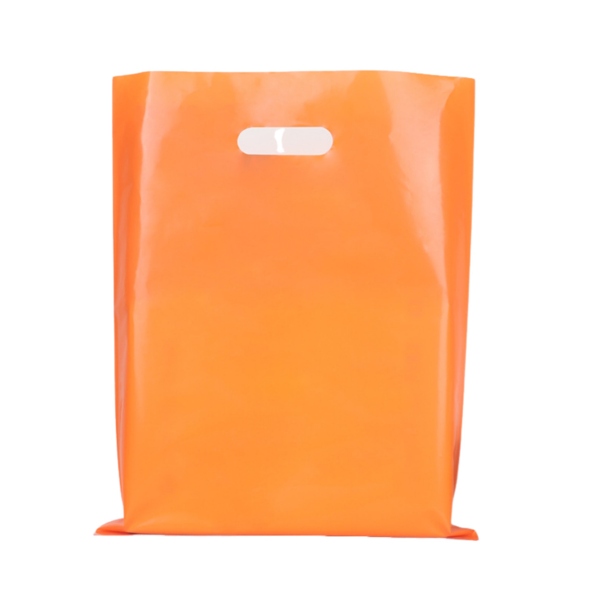 Polyethylene Die Cut Plastic Bag 9.8" x 13.8" 13