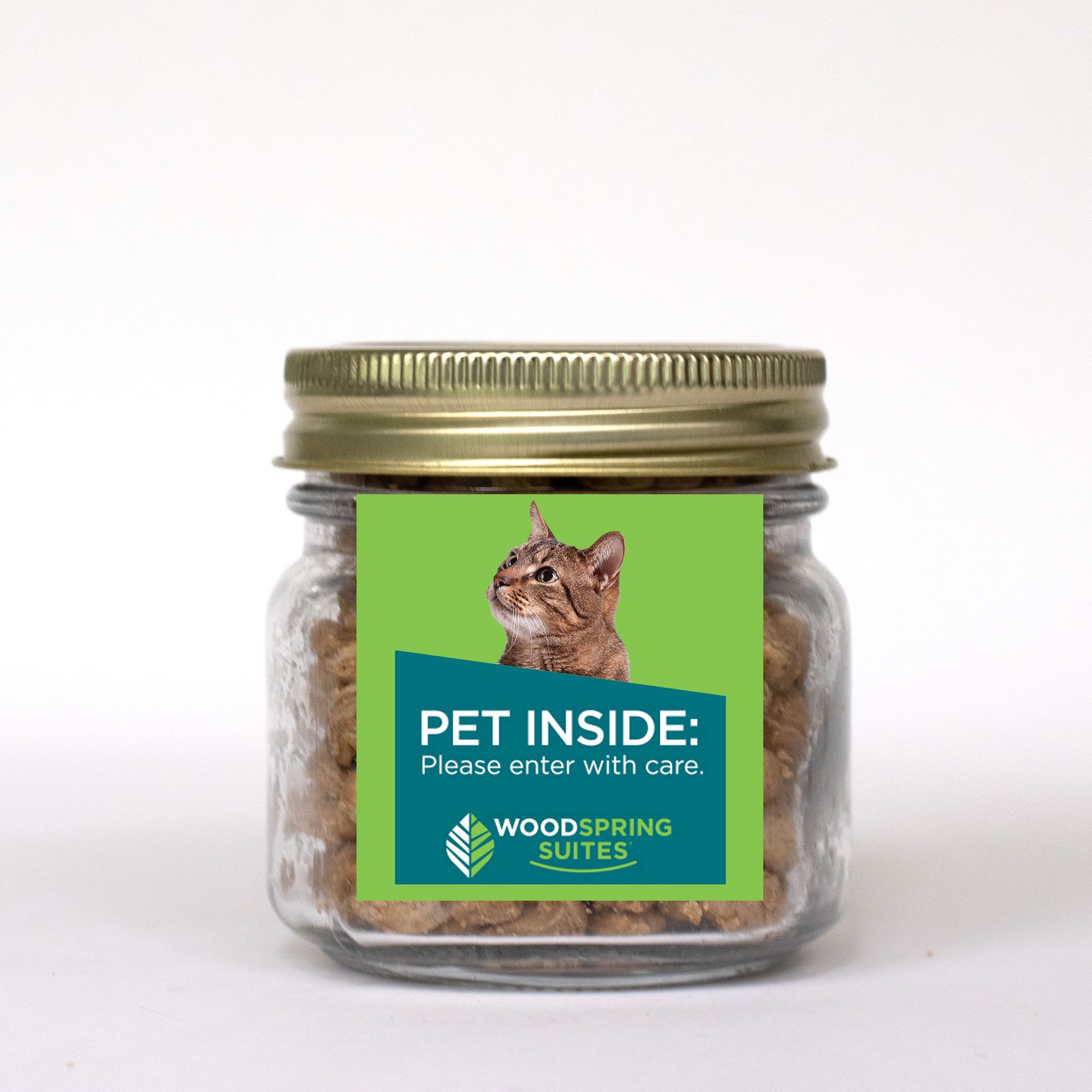 Pint Jar w/ Square Magnet Pet Fill 4