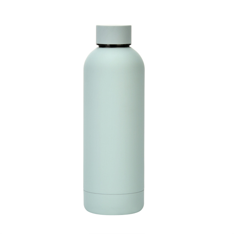 Stainless Steel Water Bottle 21