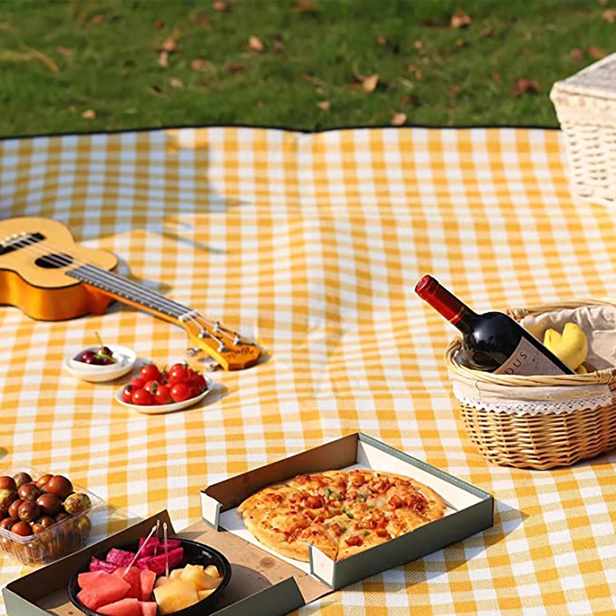 Outdoor Moisture-Proof Picnic Blankets(2M X 2M) 5