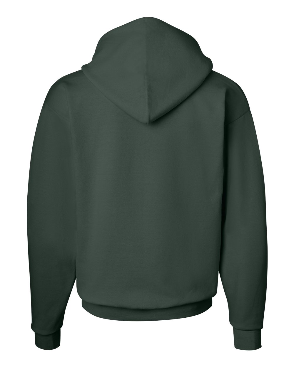 Unisex EcoSmart® Hooded Sweatshirt - P170 282