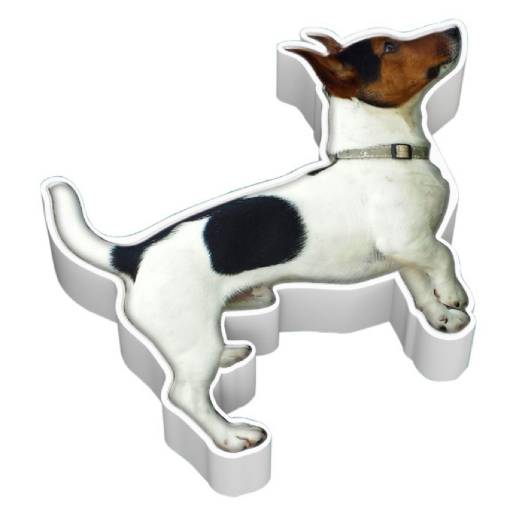 Custom Terrier Charger 5