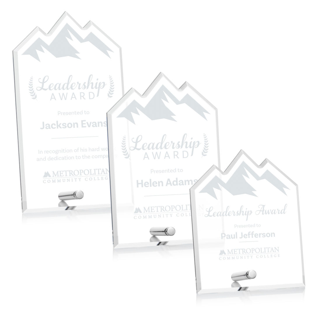 Polaris Summit Award - Silver