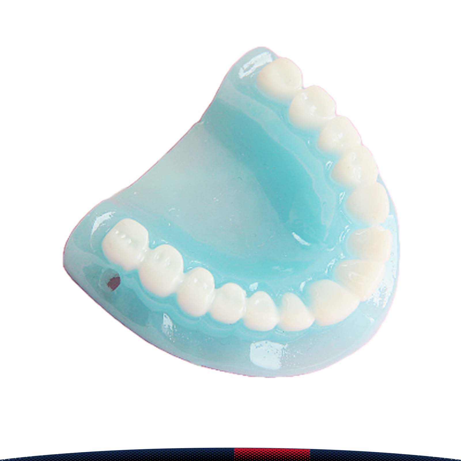 Simulated Resin Tooth Pendant 3
