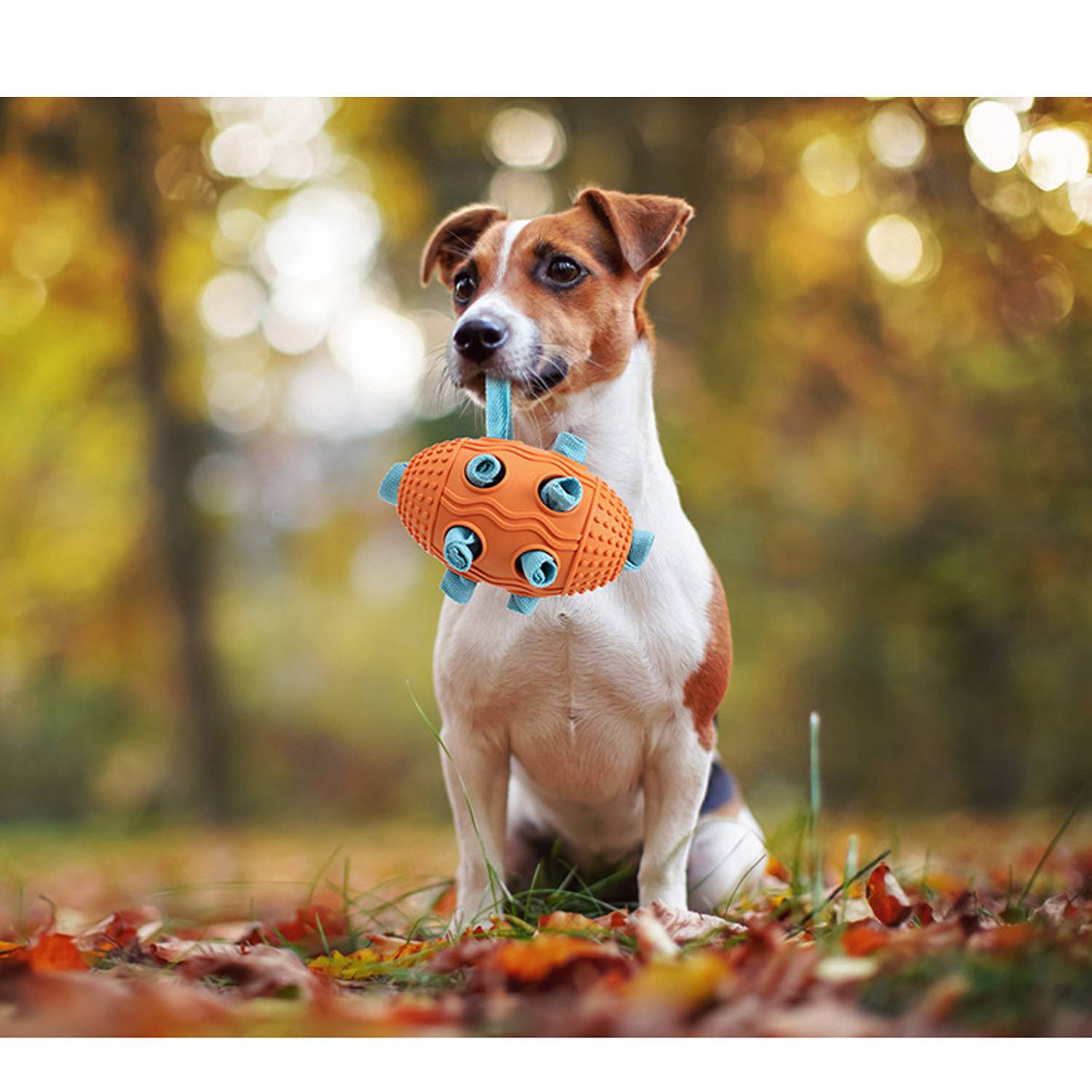Dog Rugby-Shaped Sniffing Toy 8