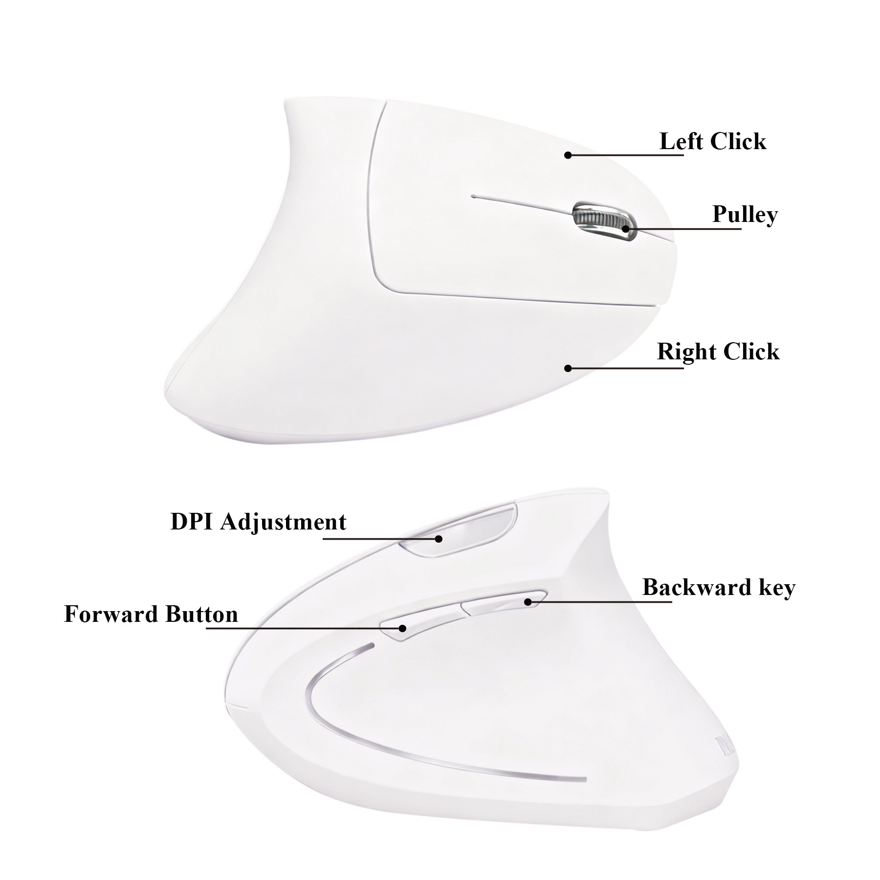 1600 DPI 2.4G Wireless Optical USB Mouse 1