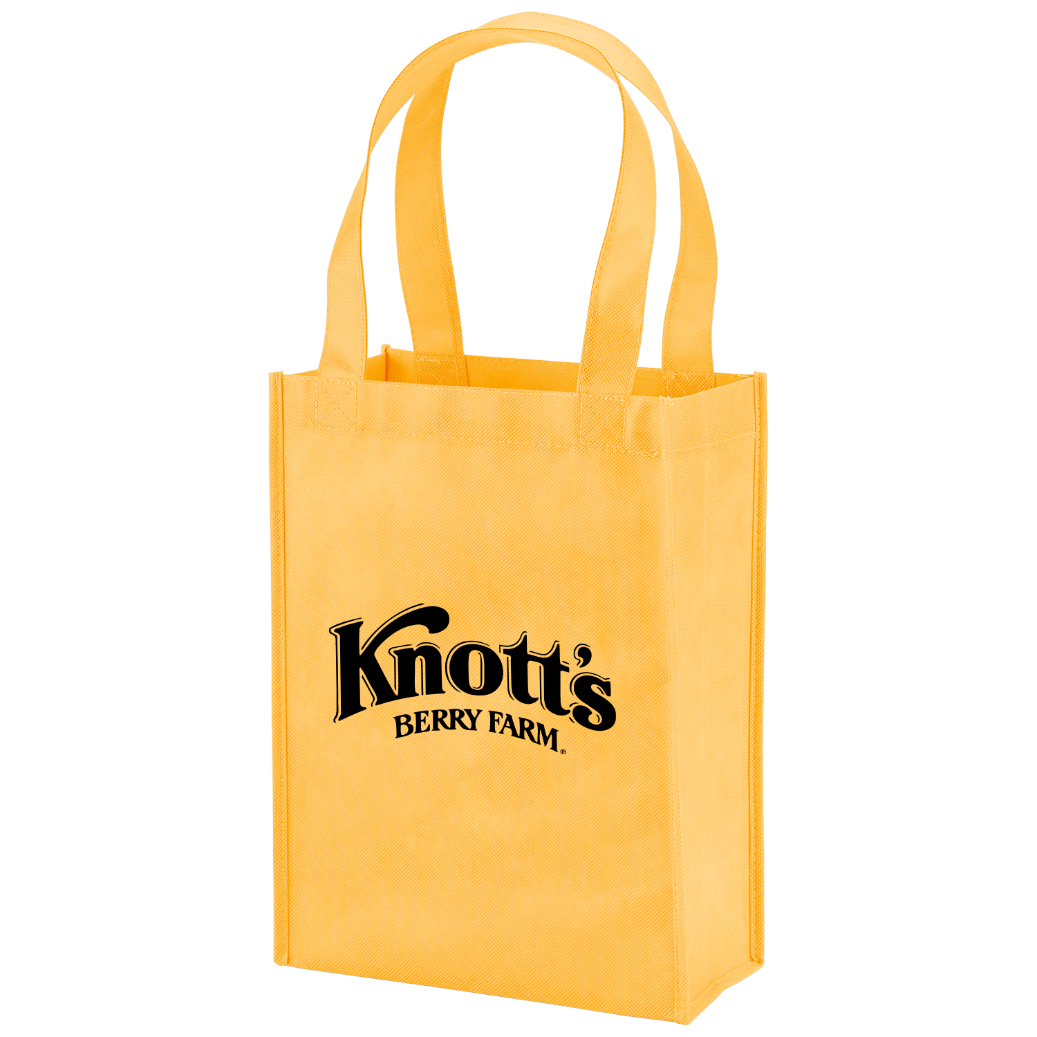 Payson Non-Woven Mini Tote Bag 13
