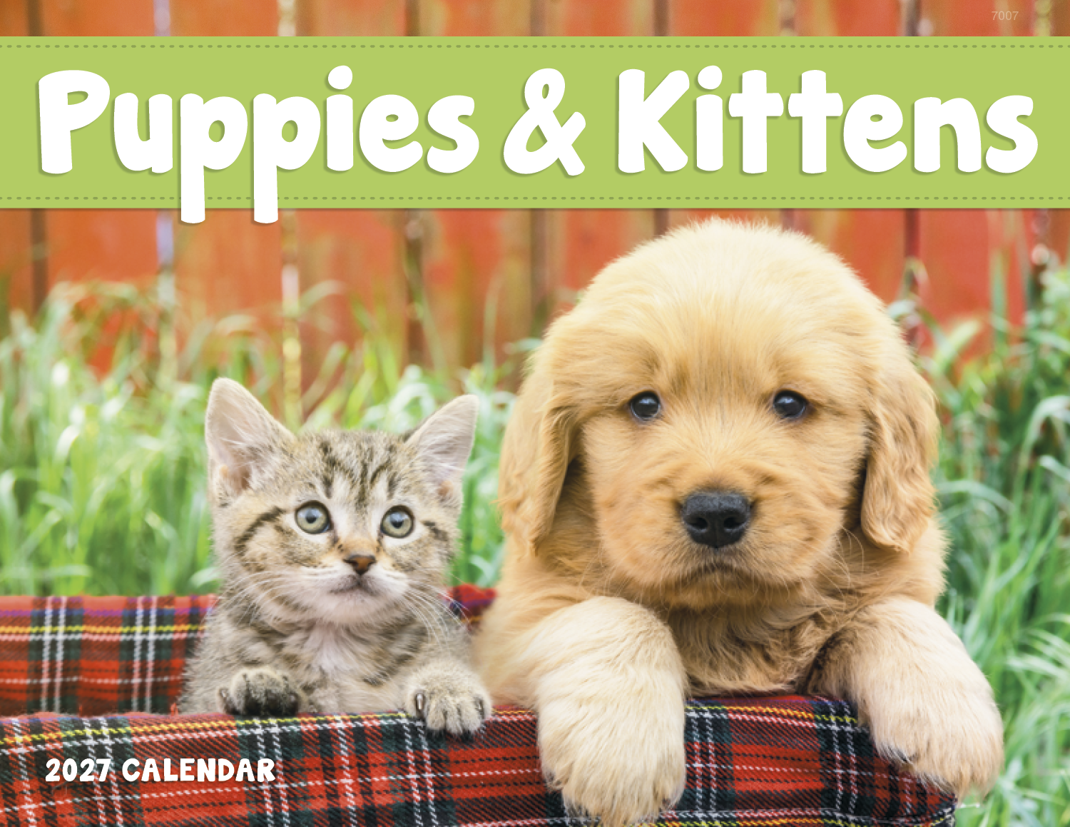 Good Value™ Puppies & Kittens - Window Calendar 38