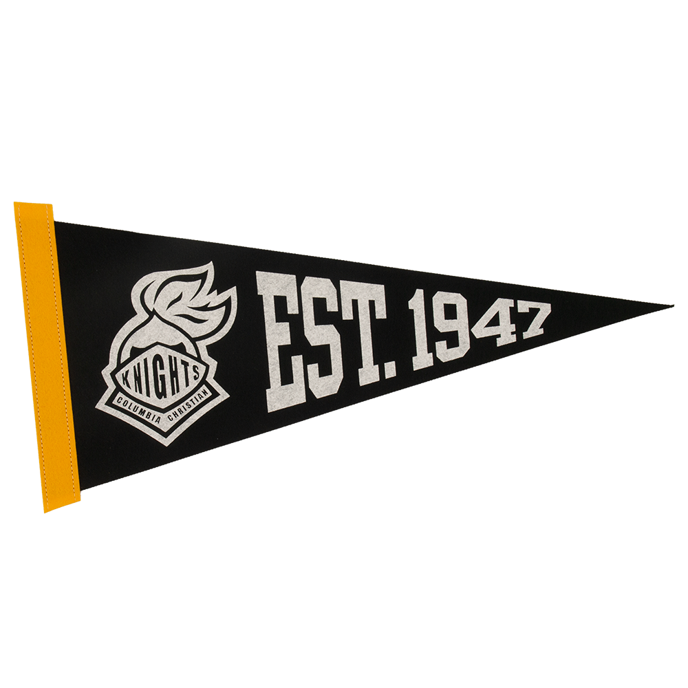 8" x 18" Colored Felt Pennant 17