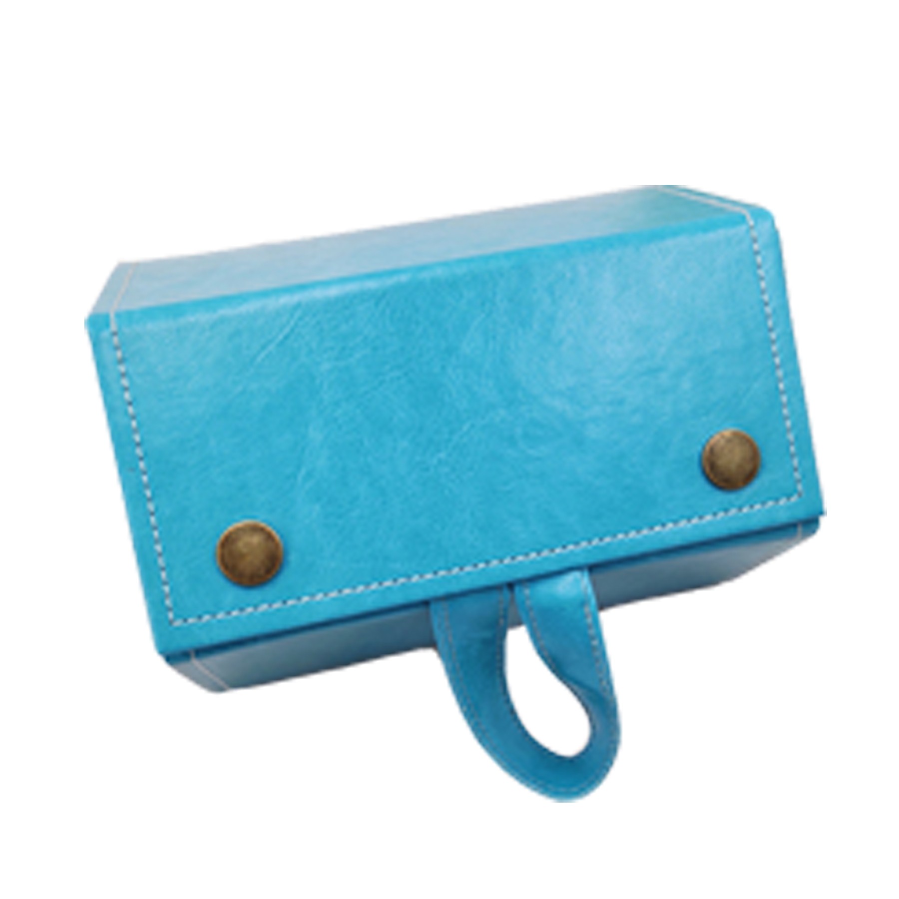 Travel Sunglasses Organizers 2