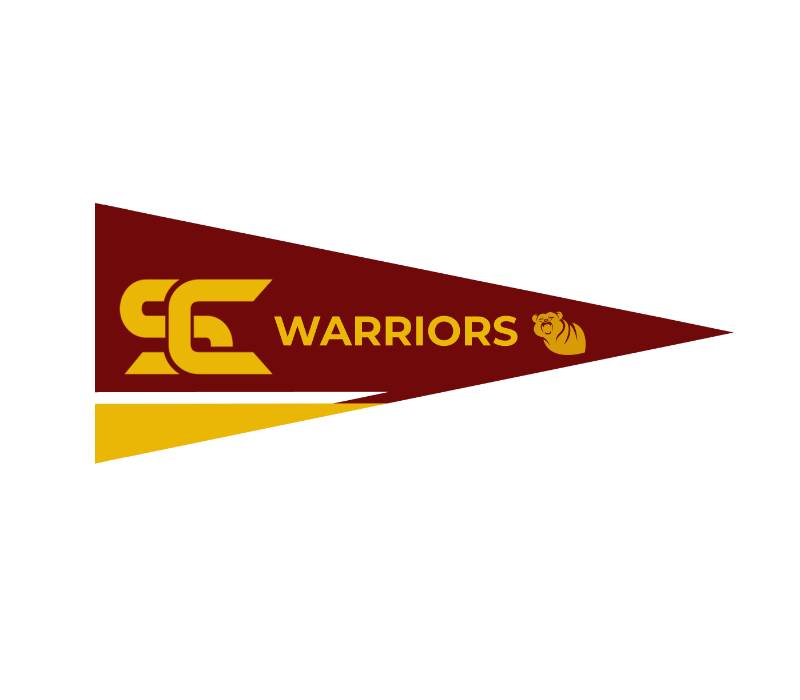 5" x 12" Full Color Felt Pennant Flag Banner 2