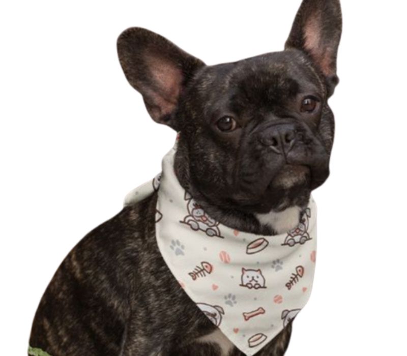 Polyester Hemmed Reusable Face Bandana 3