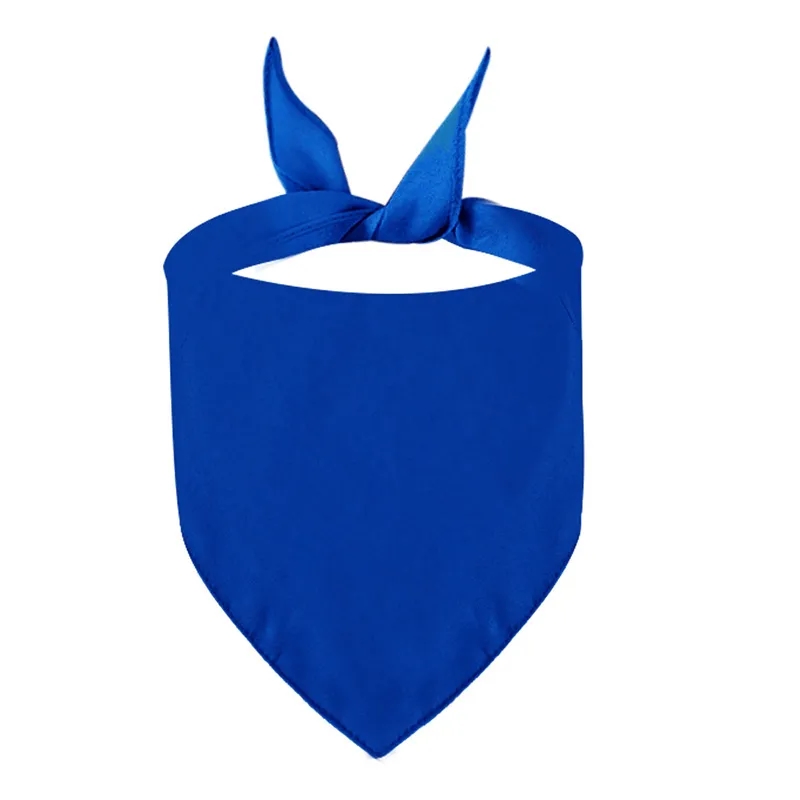 Triangle Pet Bandana 3