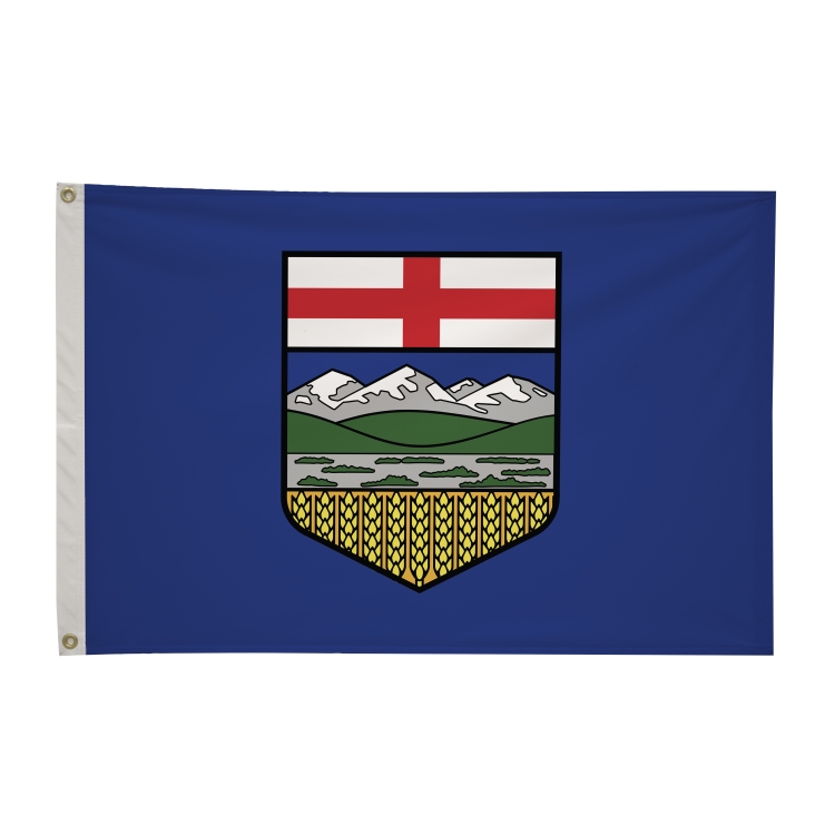 2' x 3'International Flag 299