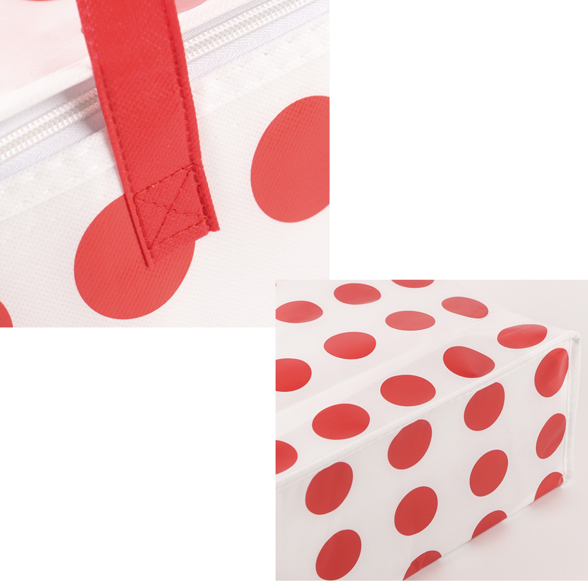 Take-out Food Bag Lunch Cooler Bag 4