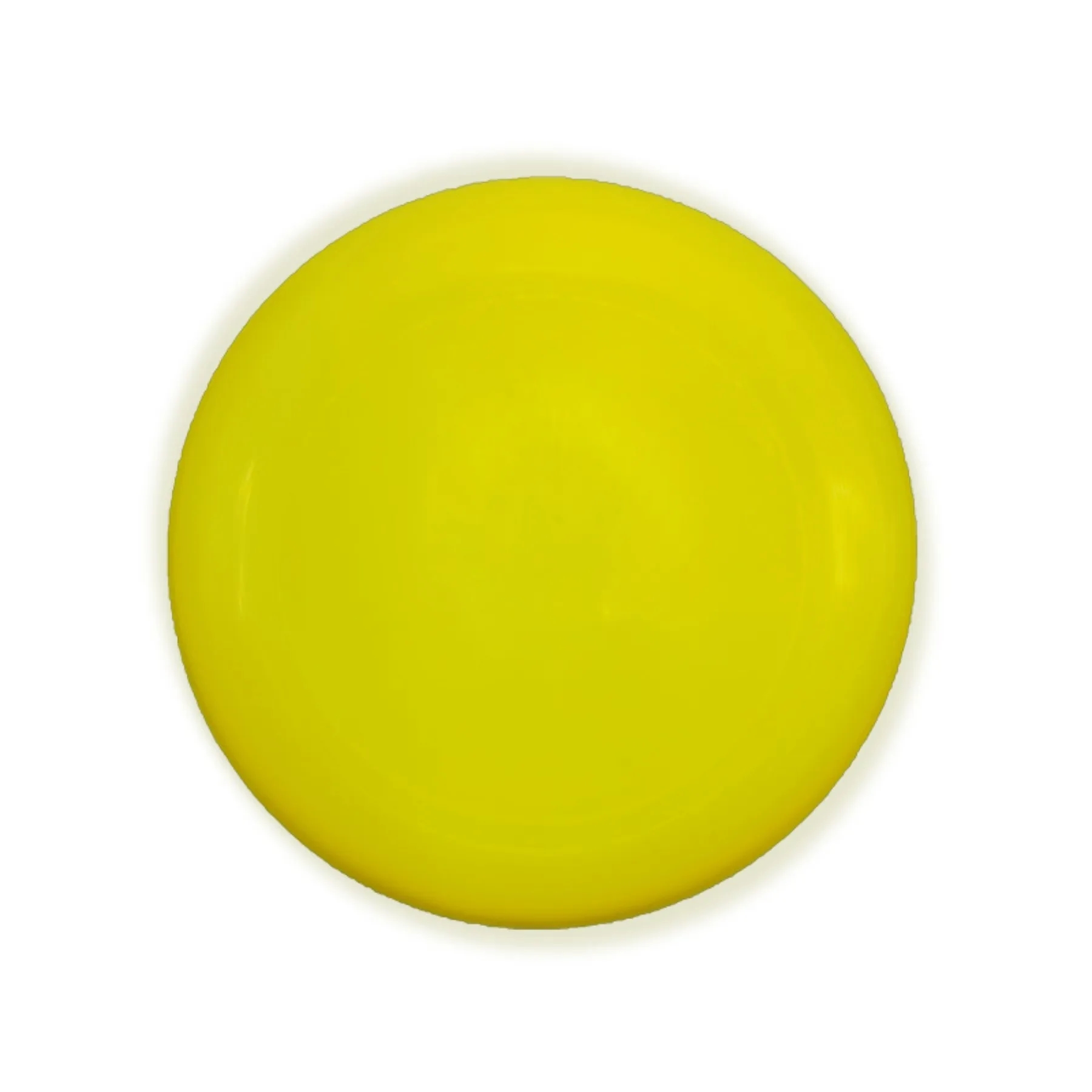 Custom 10.75 Inch Sport Disc 6