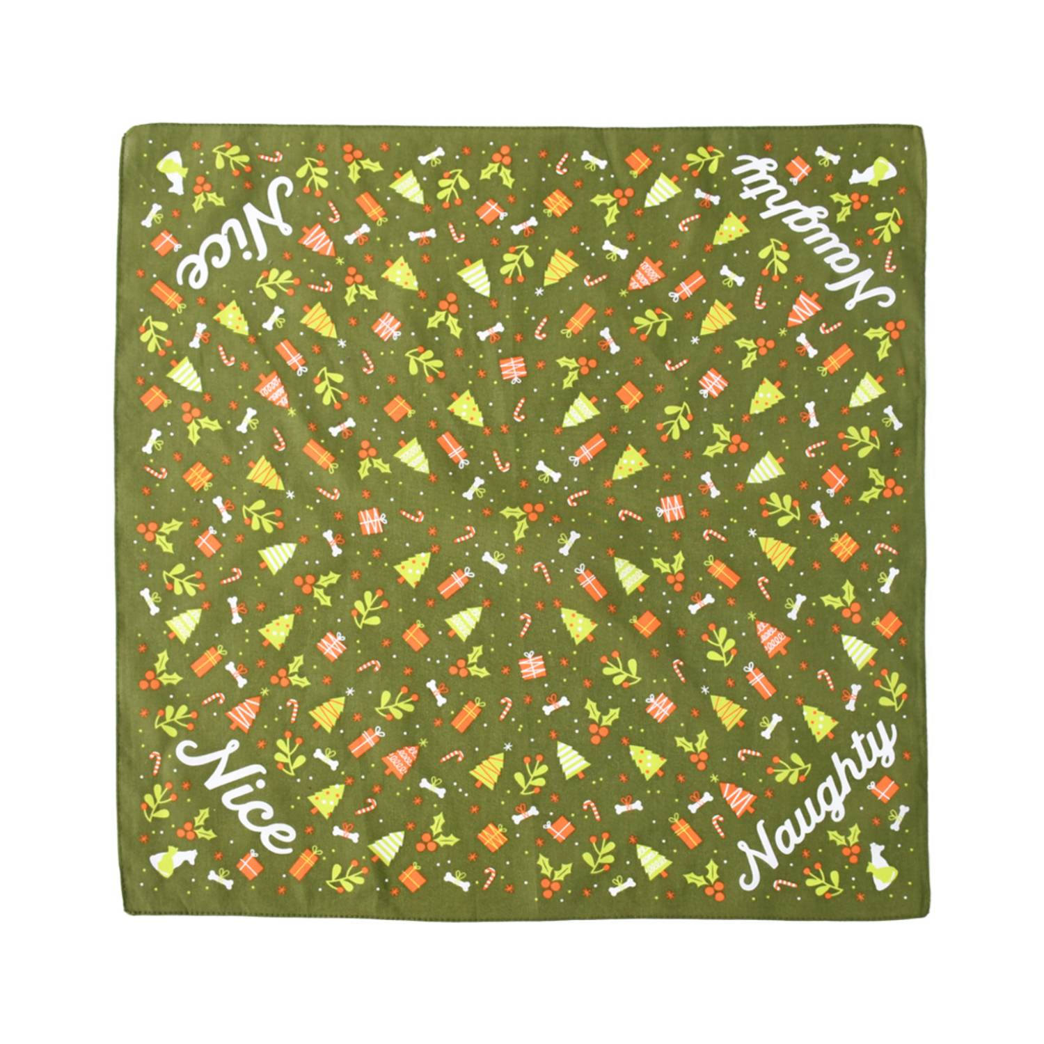 Cotton Reusable Bandana 2