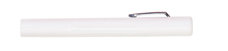 Penlight Flashlight 1