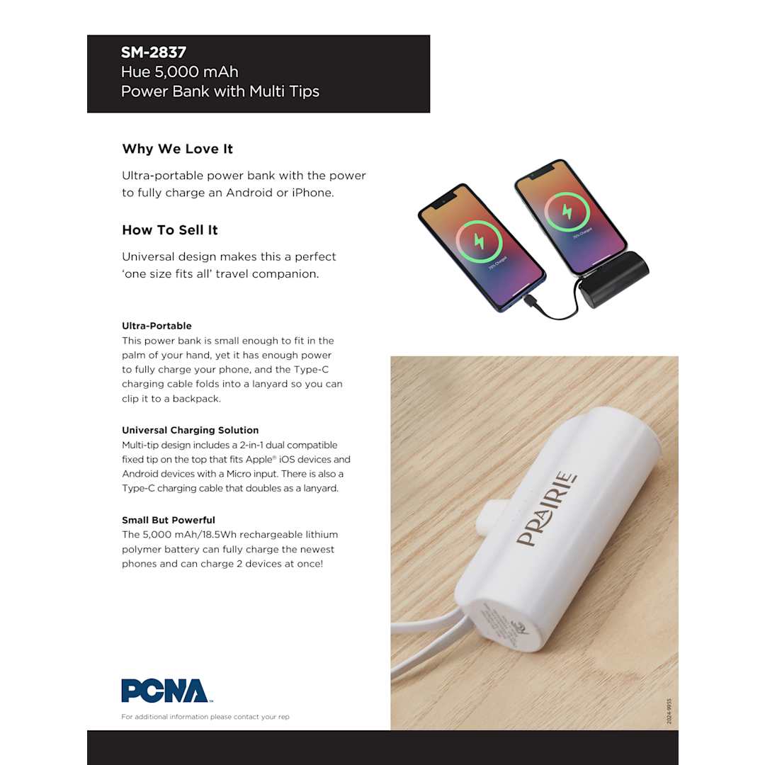 Hue 5000 mAh Power Bank with Multi Tips 5