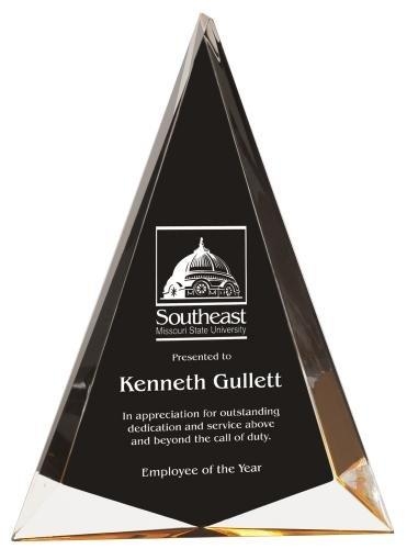 Pinnacle Acrylic Award 1