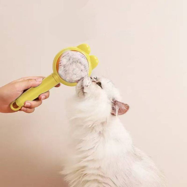 Cat Brush 3