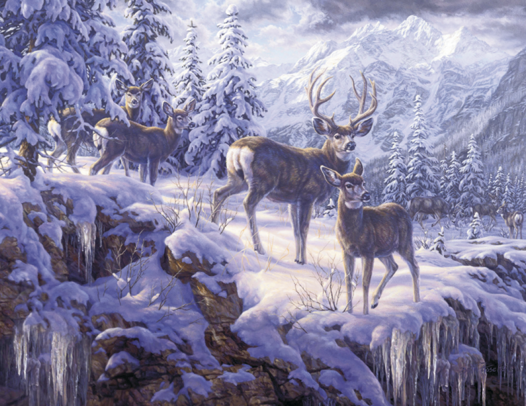 Good Value™ Wildlife Canvas - Stapled Calendar 45