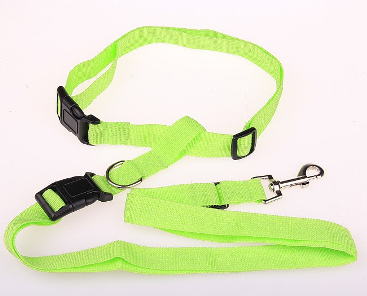 pet running leash 5