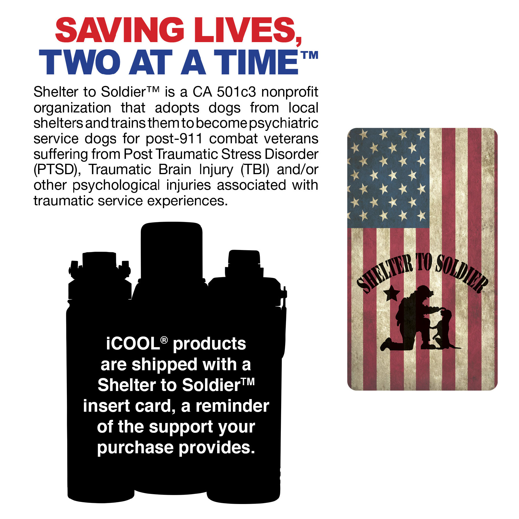 iCOOL® Glenwood 35 oz. Double Wall, Recycled Stainless Steel Water Bottle 45