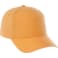Unisex DOMINATE Ballcap 273