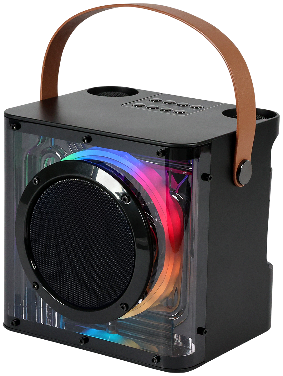 15W Karaoke Wireless Speaker with 2 Mics 14