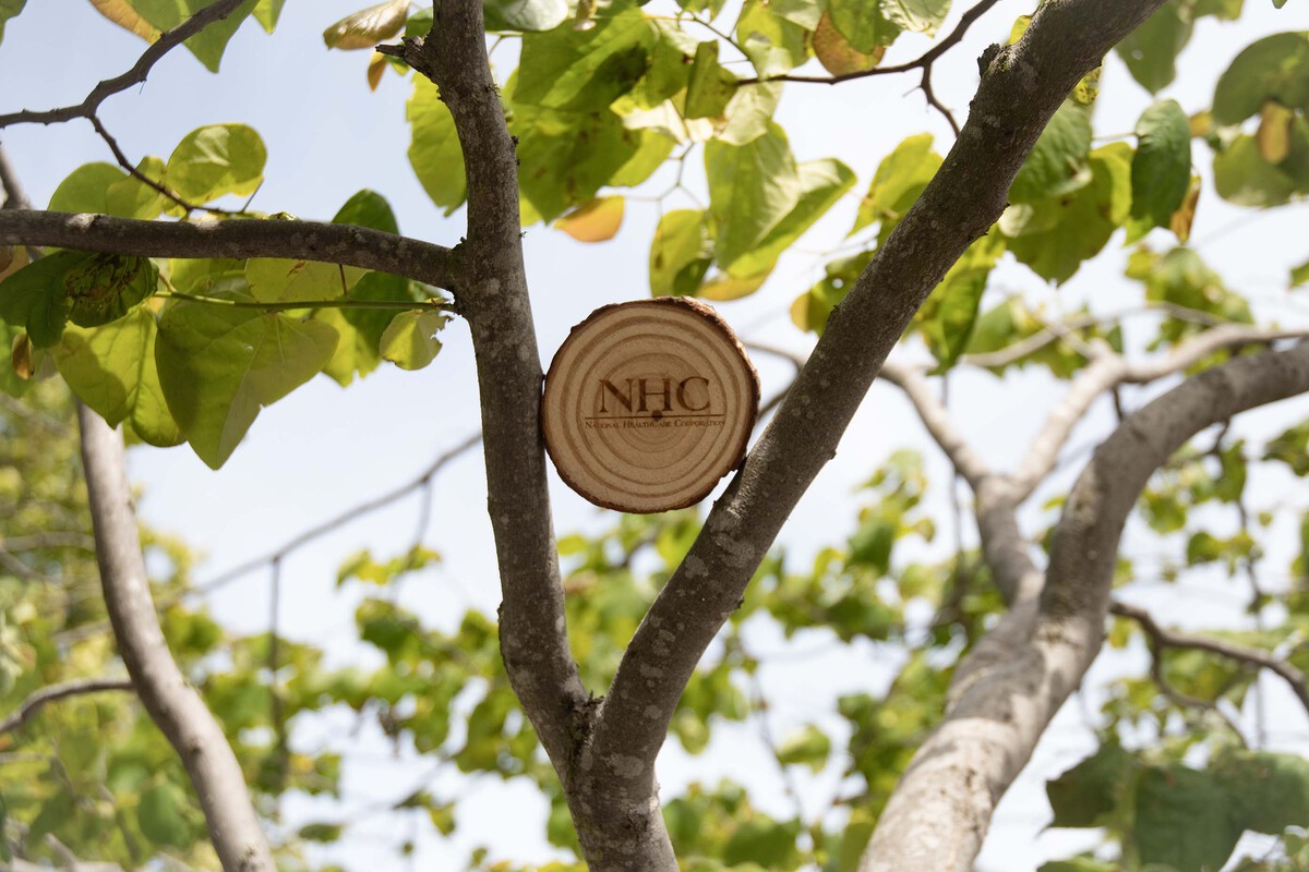 Natural Wooden Coaster 1